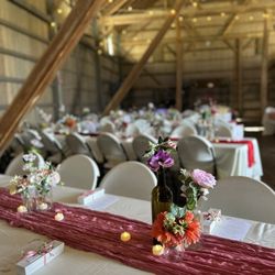 Salomon Farm Park - Old Barn