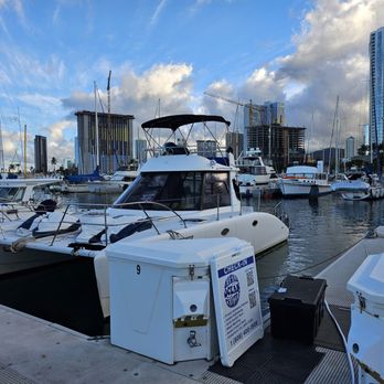 Hawaii Ocean Charters - Whale Watching Tours Near Me - Honolulu, Hawaii Hawaii Ocean Charters - Whale Watching Tours Near Me - Honolulu, Hawaii
