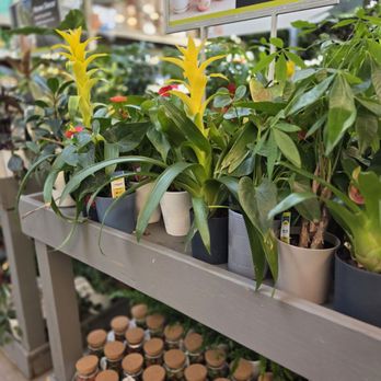 The Home Depot - Nurseries & Gardening Near Me - Utica, Michigan