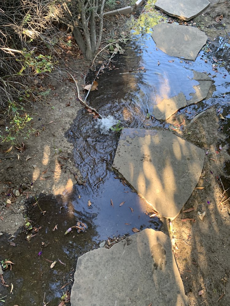 SOLIS MAINTENANCE Updated May 2024 Request a Quote 20 Photos