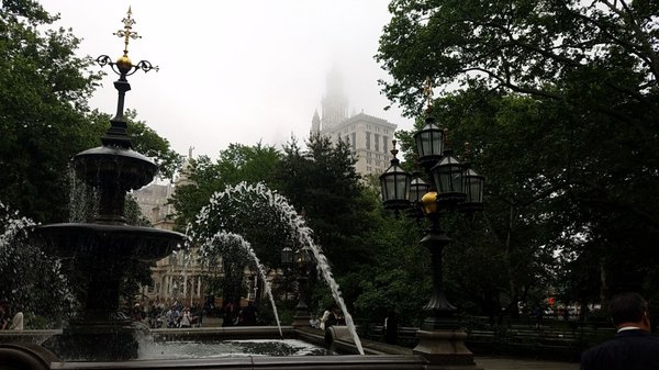 City Hall Park Greenmarket by null