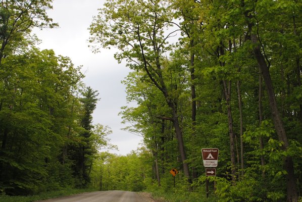 Finger Lakes National Forest by null