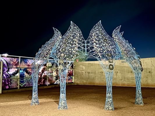 Tempe Center For The Arts by null