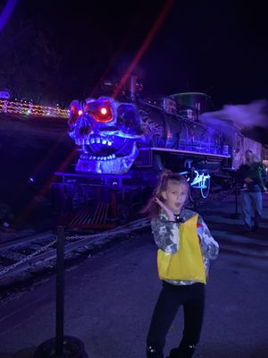 Tweetsie Railroad by null