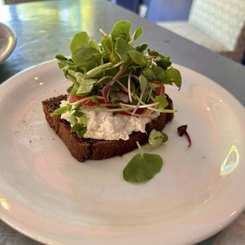 Switch Bakery - Tuna salad. - Bakeries Near Me - Santa Cruz, California Switch Bakery - Tuna salad. - Bakeries Near Me - Santa Cruz, California
