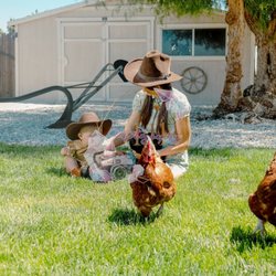 Wild Wind Ranch