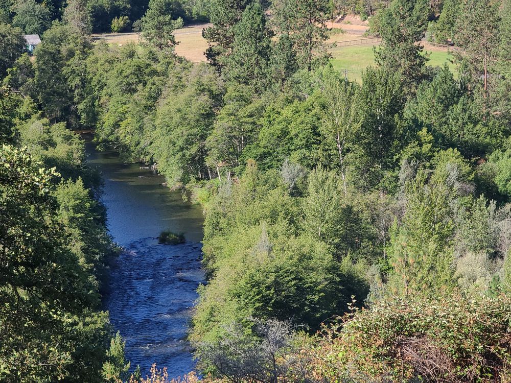 EVELYN WINNINGHAM RAMSAY REALTY Updated August 2024 10 Photos