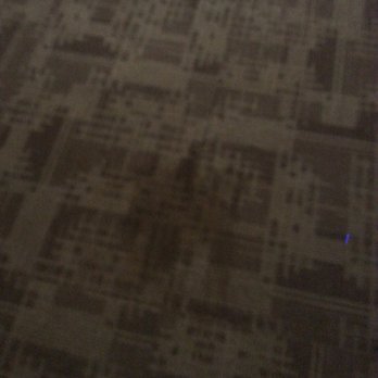 The Beverly - Carpet is disgusting - Apartments Near Me - San Antonio, Texas The Beverly - Carpet is disgusting - Apartments Near Me - San Antonio, Texas