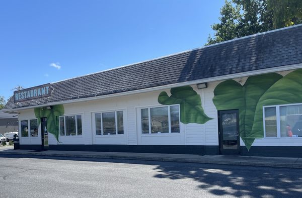 The Backyard by null