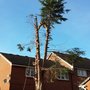 Photo of Gardener Services London