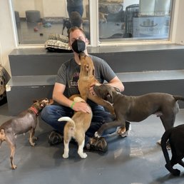 Are You My Human Dog Rescue & Lounge: Discover Love & Companionship
