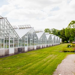 Urhausen Greenhouses