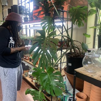 We Bite Rare and Unusual Plants - Nurseries & Gardening Near Me - New Orleans, Louisiana We Bite Rare and Unusual Plants - Nurseries & Gardening Near Me - New Orleans, Louisiana
