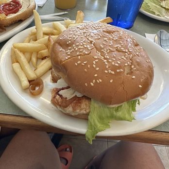 Mom's Place - Grilled chicken sandwich - Diners Near Me - Tampa, Florida Mom's Place - Grilled chicken sandwich - Diners Near Me - Tampa, Florida