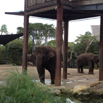 Taronga Zoo - Zoos Near Me - Mosman, NSW Taronga Zoo - Zoos Near Me - Mosman, NSW