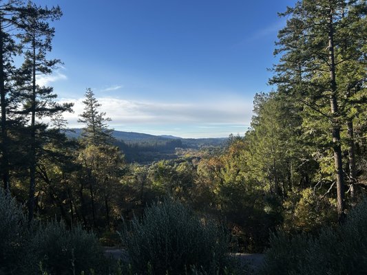 Toulouse Vineyards & Winery by null