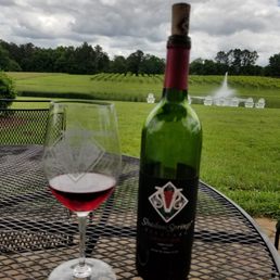a glass of wine and a bottle of wine a glass of wine and a bottle of wine