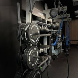 A-list Personal Training - Plates and pull up bars.