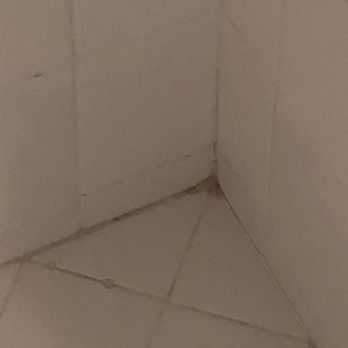 Zeus Living - Dirty shower - Property Management Near Me - San Francisco, California