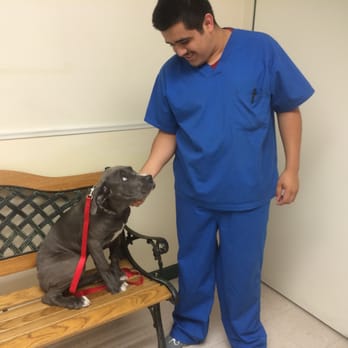 Refine Your K9 - We want Bo to have positive associations with the vet's office. By teaching your dog s/he is safe, vet trips will be much easier. - Pet Training Near Me Refine Your K9 - We want Bo to have positive associations with the vet's office. By teaching your dog s/he is safe, vet trips will be much easier. - Pet Training Near Me