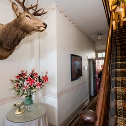 Arbor House Suites