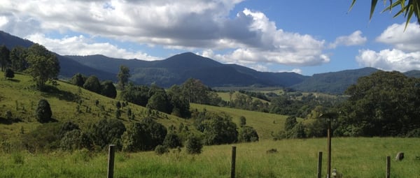 Nimbin Rox YHA by null