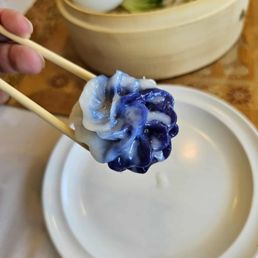Hand shaped Vegan Dumpling