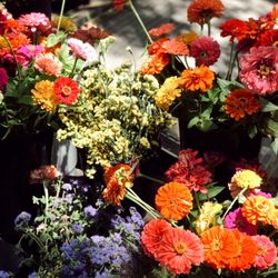 Rittenhouse Farmers’ Market