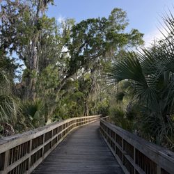 Cradle Creek Preserve