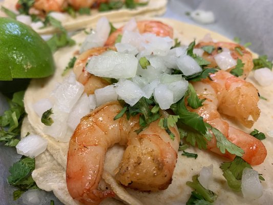 Catalina Mexican Restaurant by null