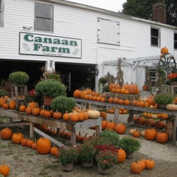 Tendercrop Farm - Canaan Farms