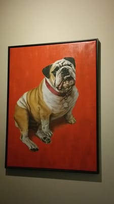 The Fat Dog by null
