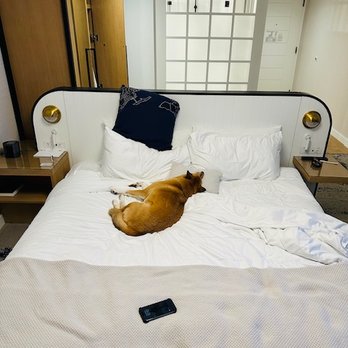 BRENTON HOTEL - Updated December 2025 - 51 Photos & 35 Reviews - 31 America's Cup Ave, Newport