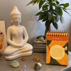 Holistic Care Medicine
