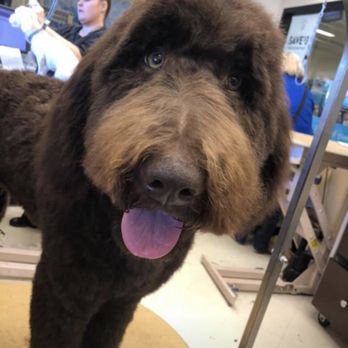 PetSmart Grooming - Pet Stores Near Me - Bakersfield, California