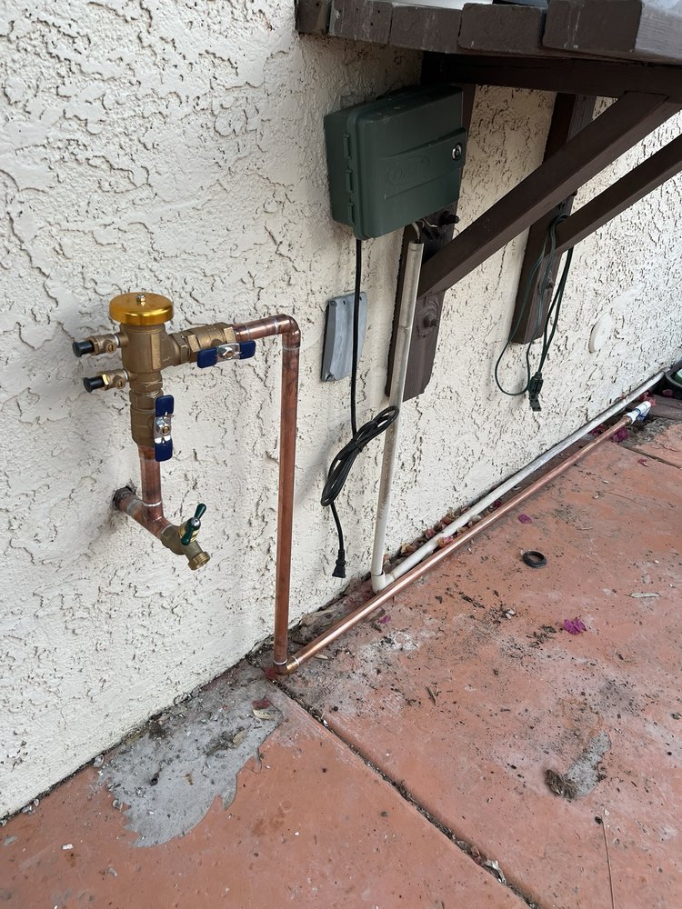 Slide of Sonoran Desert Plumbing
