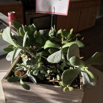 Blue Iris Florist - What they actually received... - Florists Near Me - Houston, Texas