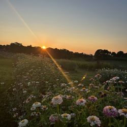 7 Acres Farm