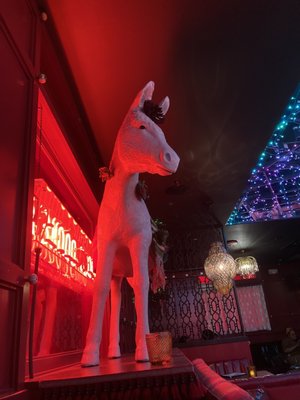 Ghost Donkey - Denver by null