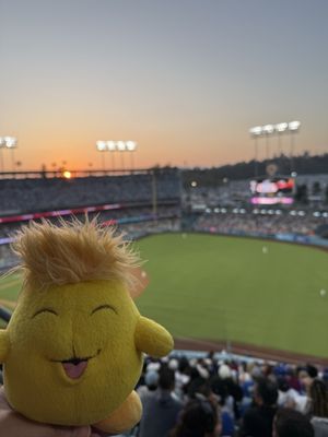 Dodger Stadium by null