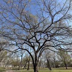 Washington Irving Park