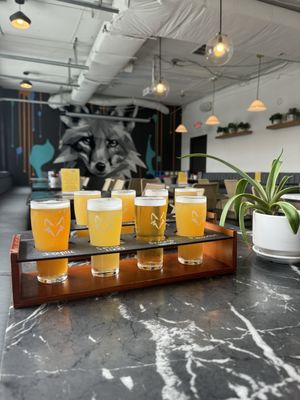 Marble Fox Brewing Company by null