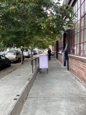 Year of the Snake by null