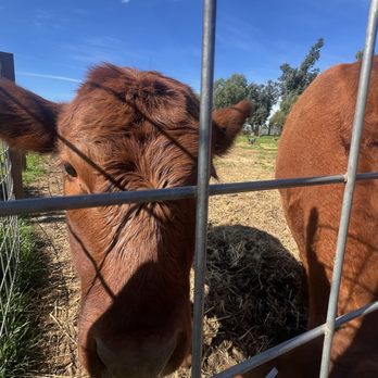 Back-to-Eden Ranch - Attraction Farms Near Me - Gilroy, California