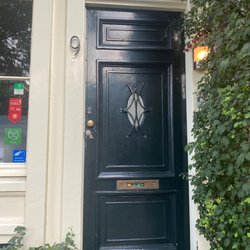 Tulip of Amsterdam