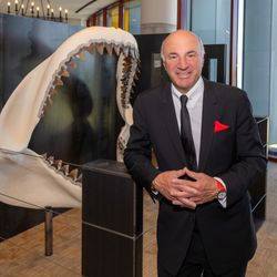 The Gallery Studios - Kevin O'Leary, Mr Wonderful, Shark Tank