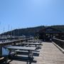 Deer Harbor Marina