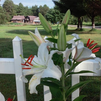 Memory Lane Vacations - Vacation Rentals Near Me - Andover, Maine