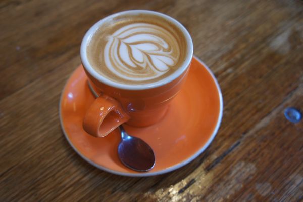 Monk Bodhi Dharma by null