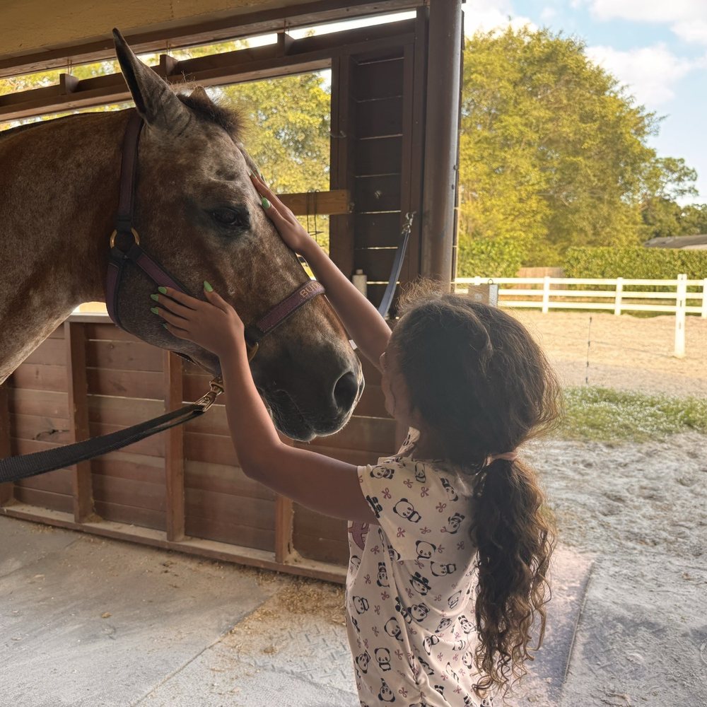 Wattland II - Horseback Riding Near Me - Parkland, Florida Wattland II - Horseback Riding Near Me - Parkland, Florida